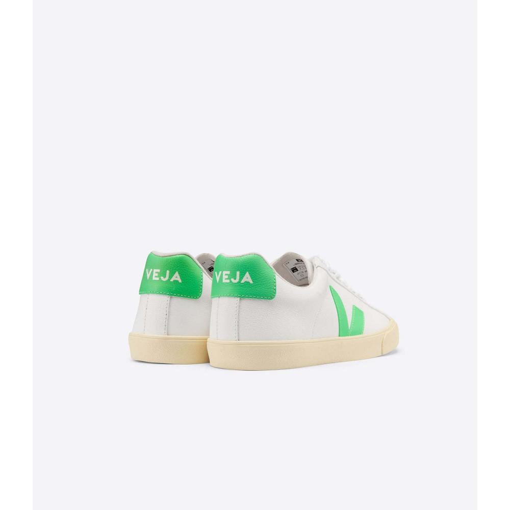 Pantofi Barbati Veja ESPLAR CHROMEFREE White/Green | RO 192EBC